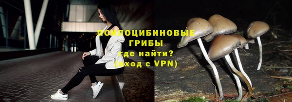 спайс Алзамай