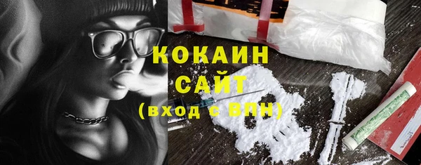 кокс Алексин