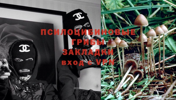бутират Алексеевка
