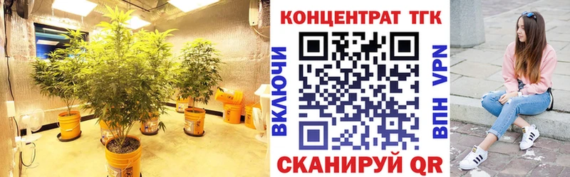 купить   Отрадная  Дистиллят ТГК гашишное масло 