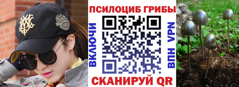 Галлюциногенные грибы ЛСД  Отрадная 